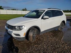 Salvage cars for sale from Copart Houston, TX: 2021 Volkswagen Tiguan SE