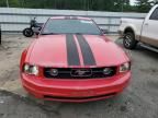 2006 Ford Mustang