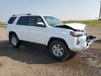 2024 Toyota 4runner SR5/SR5 Premium