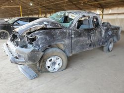 Salvage cars for sale at Phoenix, AZ auction: 2023 Toyota Tacoma Access Cab