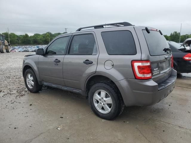 2009 Ford Escape XLT