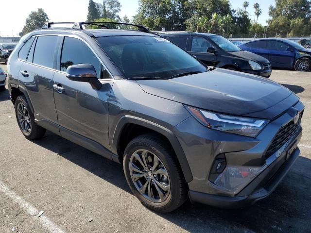 2023 Toyota Rav4 XLE Premium