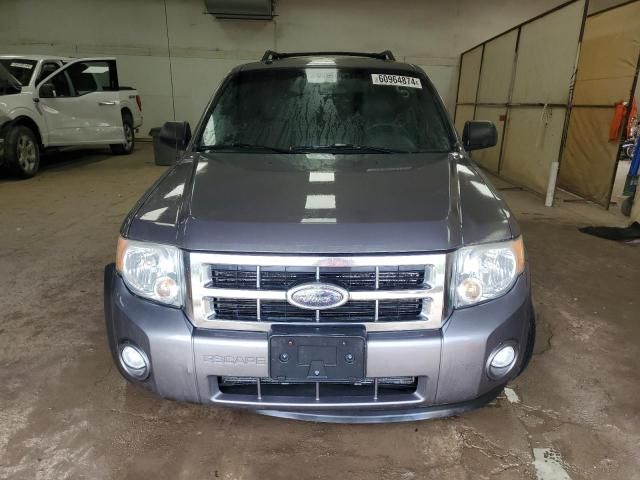 2009 Ford Escape XLT