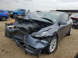 Salvage cars for sale at Brighton, CO auction: 2021 Tesla Model Y