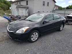 Salvage cars for sale at York Haven, PA auction: 2012 Nissan Altima Base