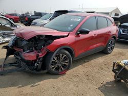 Salvage cars for sale at Brighton, CO auction: 2022 Ford Escape SE