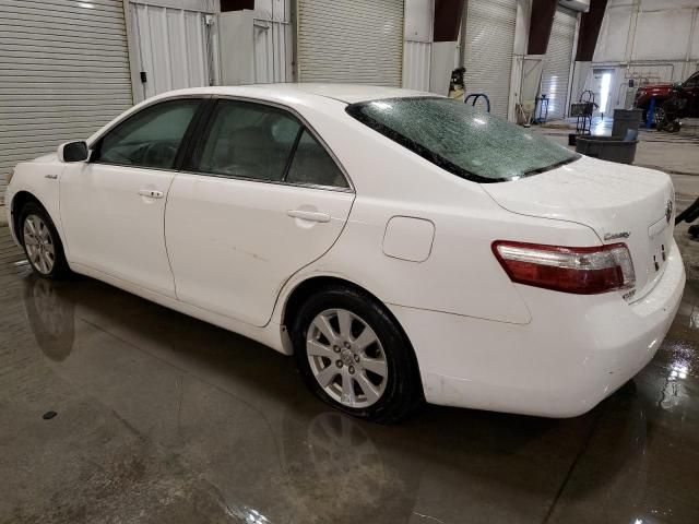 2009 Toyota Camry Hybrid