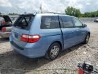 2007 Honda Odyssey EXL