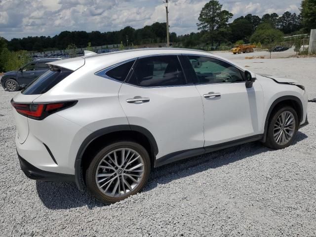 2024 Lexus NX 350 Luxury