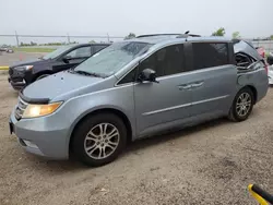 Honda salvage cars for sale: 2011 Honda Odyssey EXL