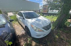 Salvage cars for sale from Copart Orlando, FL: 2011 Hyundai Sonata SE