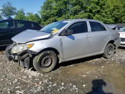 Toyota salvage cars for sale: 2010 Toyota Corolla Base