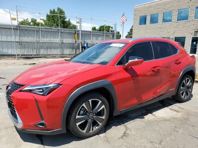 2019 Lexus UX 250H