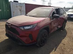 Salvage cars for sale at Elgin, IL auction: 2019 Toyota Rav4 LE