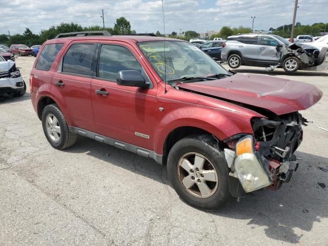 2008 Ford Escape XLT