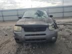 2002 Ford Escape XLT