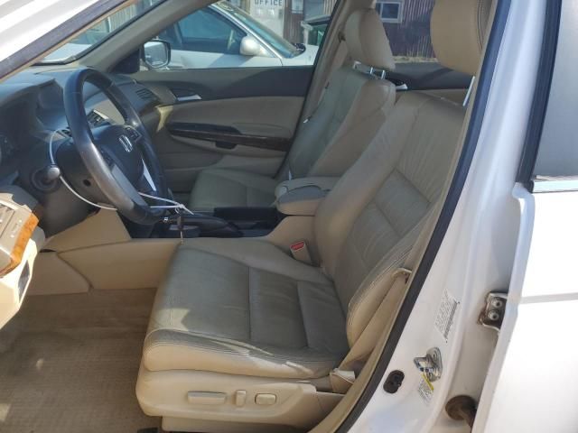 2008 Honda Accord EXL