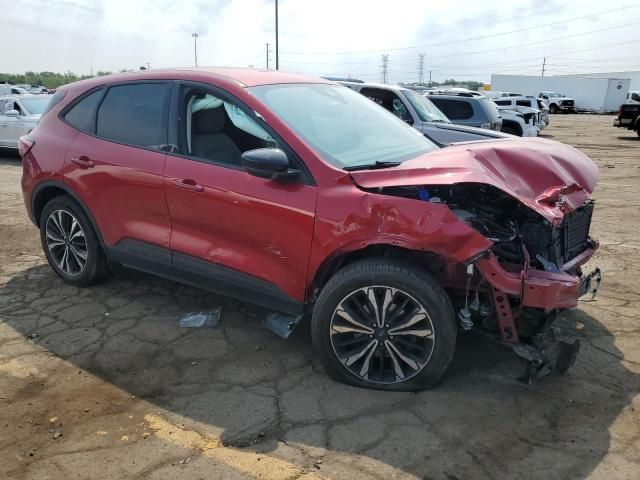 2021 Ford Escape SE