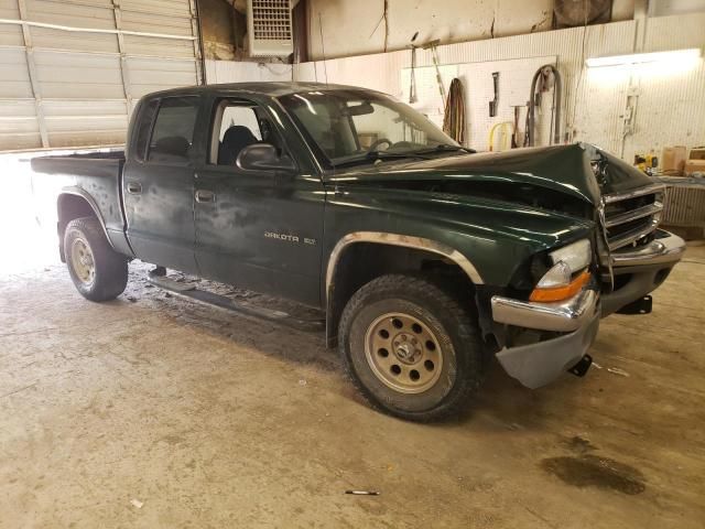 2001 Dodge Dakota Quattro