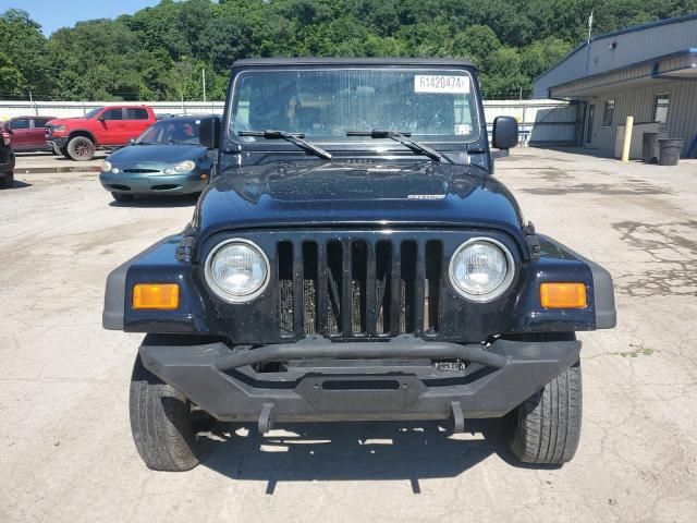 2004 Jeep Wrangler / TJ SE