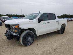 Chevrolet Silverado c1500 Custom Vehiculos salvage en venta: 2023 Chevrolet Silverado C1500 Custom