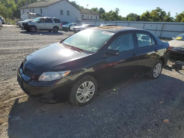 2010 Toyota Corolla Base