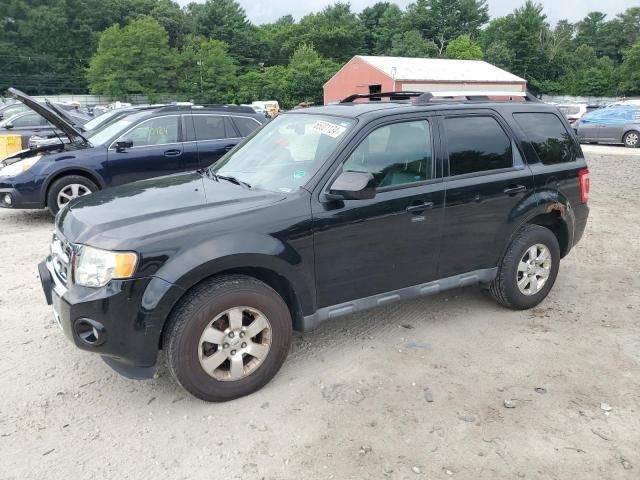 2010 Ford Escape Limited