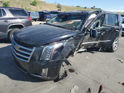 Salvage cars for sale at Littleton, CO auction: 2017 Cadillac Escalade Luxury