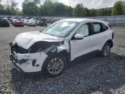 Salvage cars for sale at Grantville, PA auction: 2020 Ford Escape SE