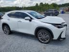 2024 Lexus NX 350 Luxury