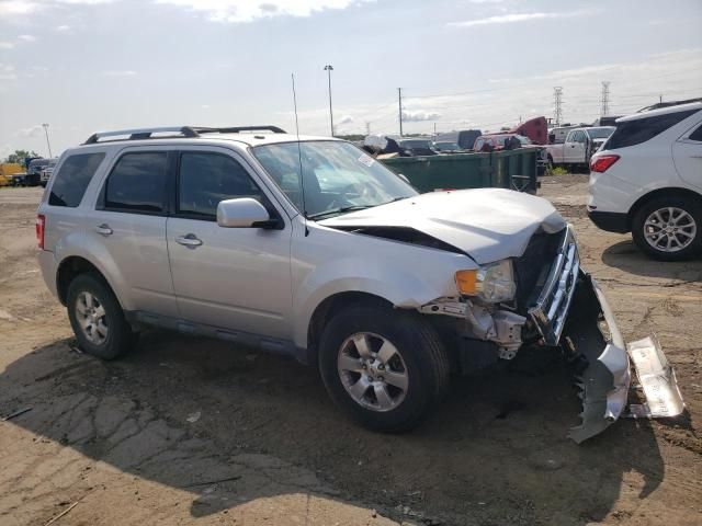 2010 Ford Escape Limited