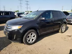 Salvage cars for sale at Elgin, IL auction: 2013 Ford Edge SEL