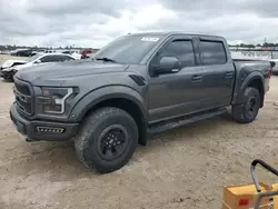 Salvage trucks for sale at Houston, TX auction: 2017 Ford F150 Raptor