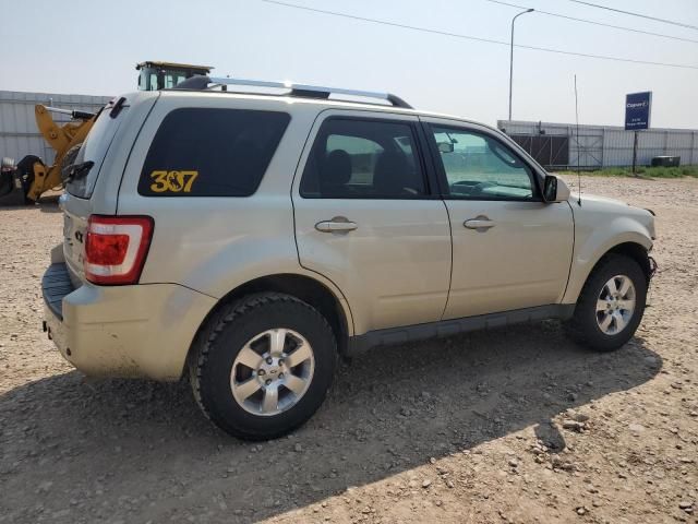 2011 Ford Escape Limited