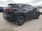 2022 Lexus NX 350