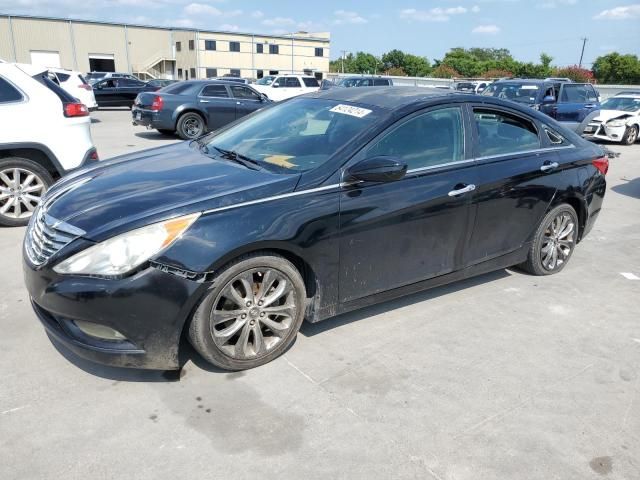 2011 Hyundai Sonata SE