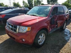 Ford salvage cars for sale: 2012 Ford Escape XLT