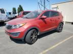 2013 KIA Sportage Base