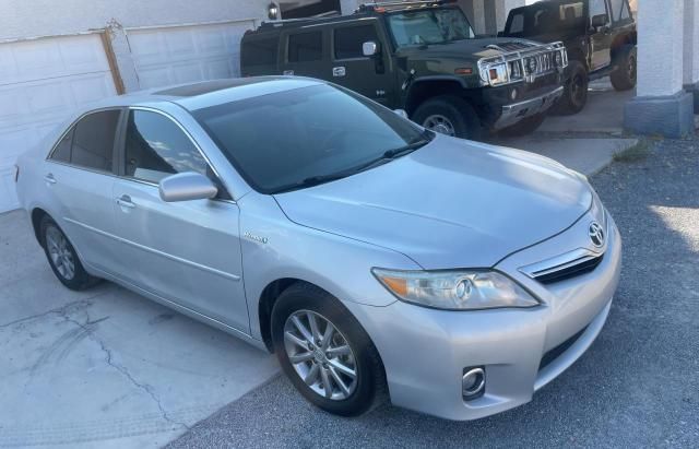 2010 Toyota Camry Hybrid