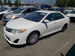 Salvage cars for sale at Rancho Cucamonga, CA auction: 2014 Toyota Camry L