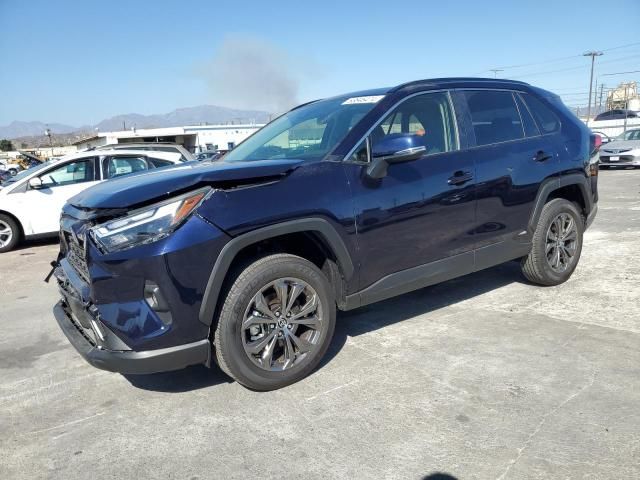 2024 Toyota Rav4 XLE Premium