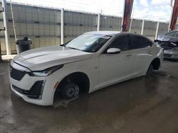 2023 Cadillac CT5 Premium Luxury en venta en Homestead, FL