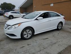 Carros salvage a la venta en subasta: 2014 Hyundai Sonata GLS