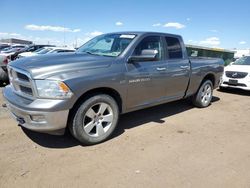 Salvage trucks for sale at Brighton, CO auction: 2011 Dodge RAM 1500