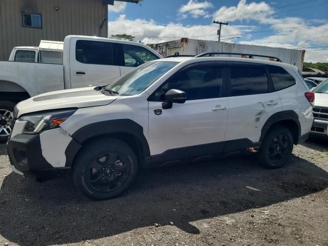 2023 Subaru Forester Wilderness