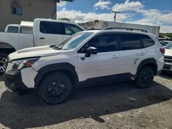 Vehiculos salvage en venta de Copart Kapolei, HI: 2023 Subaru Forester Wilderness