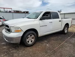 Dodge salvage cars for sale: 2009 Dodge RAM 1500