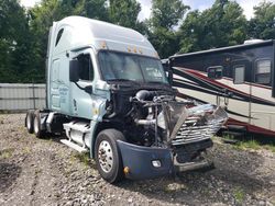 Freightliner Vehiculos salvage en venta: 2009 Freightliner Cascadia 125