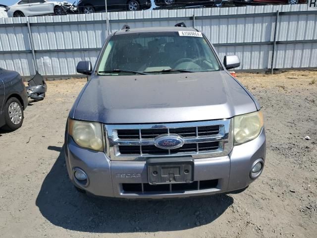 2008 Ford Escape HEV