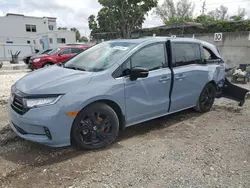 Honda Odyssey sp salvage cars for sale: 2024 Honda Odyssey Sport